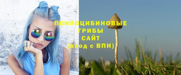 apvp Абинск