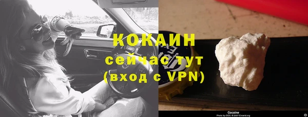 шишки Михайловка