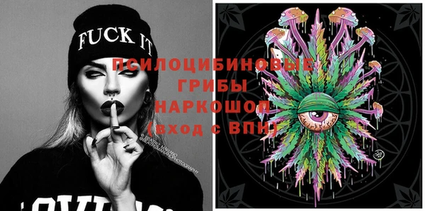 шишки Михайловка