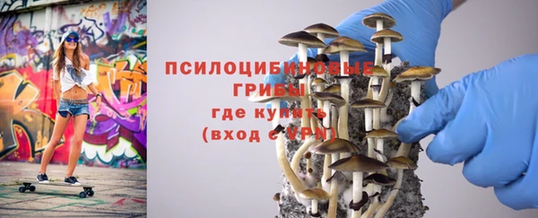 apvp Абинск