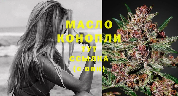 шишки Михайловка