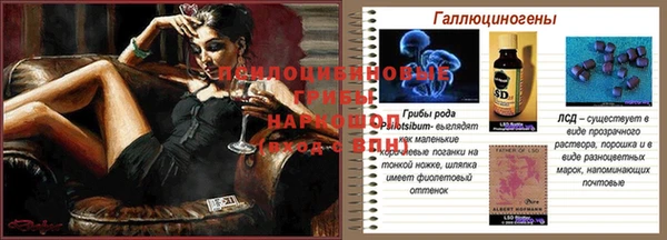 apvp Абинск