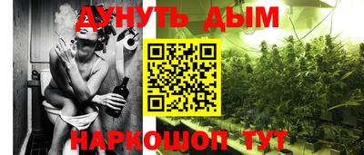 трава Новозыбков