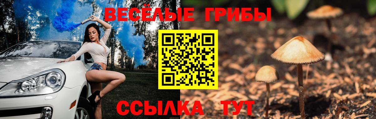 Галлюциногенные грибы GOLDEN TEACHER  Вход с VPN  Чита  Псилоцибиновые грибы MAGIC MUSHROOMS 