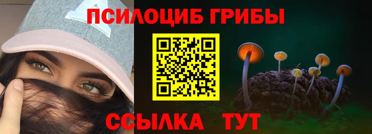Псилоцибиновые грибы GOLDEN TEACHER Чита